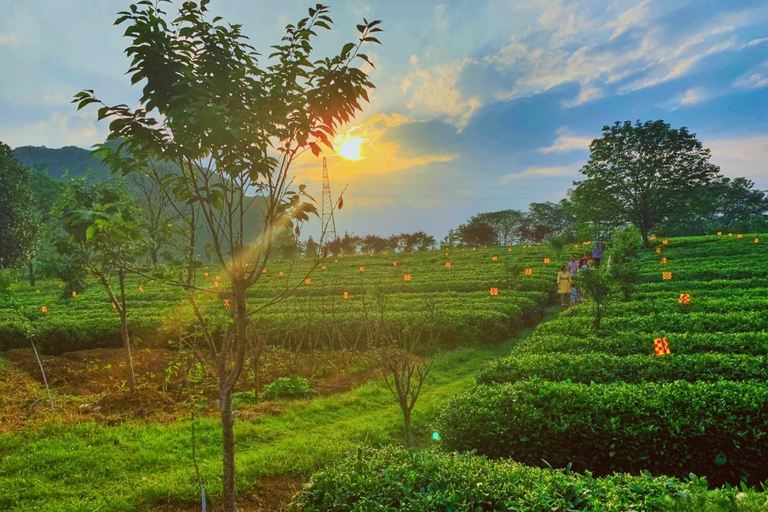 Guilin: Guihai Stele Forest, Fubo Mountain & Tea Tour