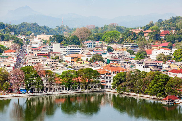 Kandy: Full-Day Tour with Historical Cultures
