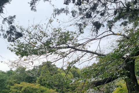 NARITA: excursão a pé, rua Omotesando, templo Narita-san