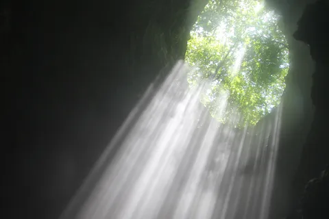 From Yogyakarta: Jomblang Cave Day Tour No Hidden Cost