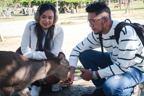 Nara: Private Tour zu Fuß