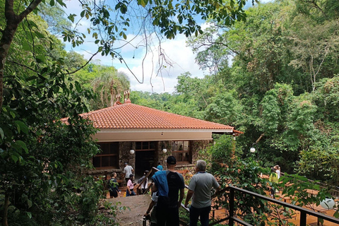 Hiking in Iguaçu National Park: A nature hike Trails in Iguaçu National Park: A hike through nature