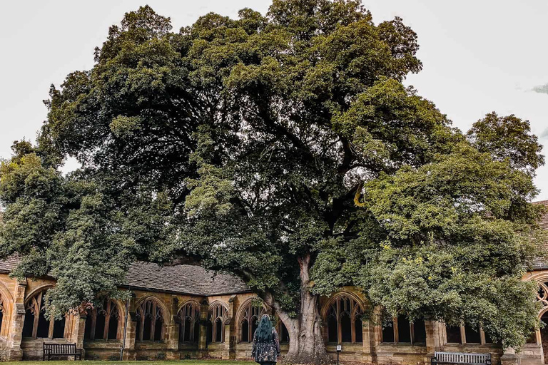 Oxford: Harry Potter Tour with Hogwarts Student Guide