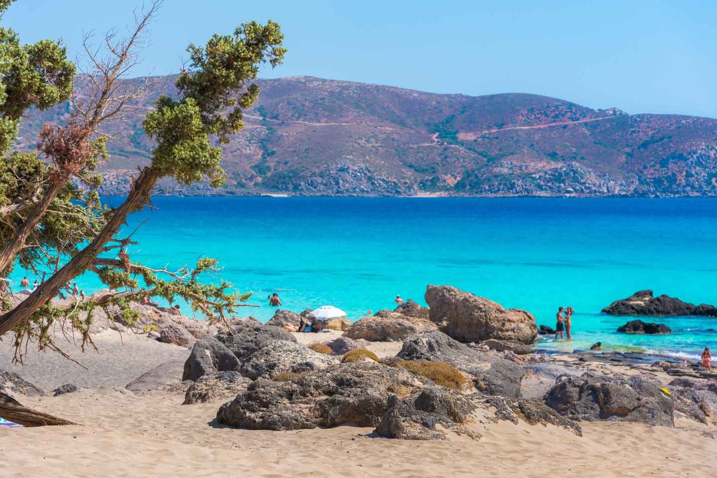 From Chania: Kedrodasos Beach Tour with Hike - From Chania: Kedrodasos Beach Tour with Hike