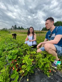 Farm Stay Experience & Dozza - Private Tour von Bologna aus