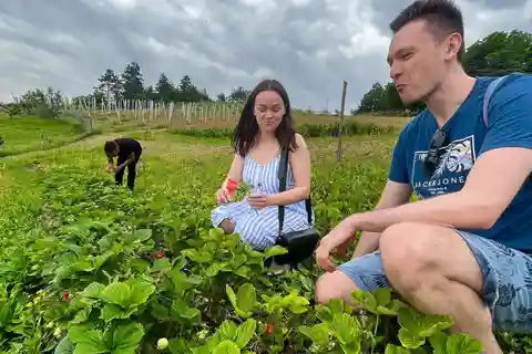 FARM STAY EXPERIENCE & DOZZA - Private Day Tour From Bologna