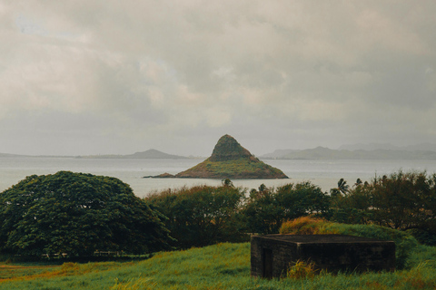 Oahu: Kualoa Open Air Jungle Expedition Tour Kualoa Open Air Jungle Expedition Tour with Meeting Point