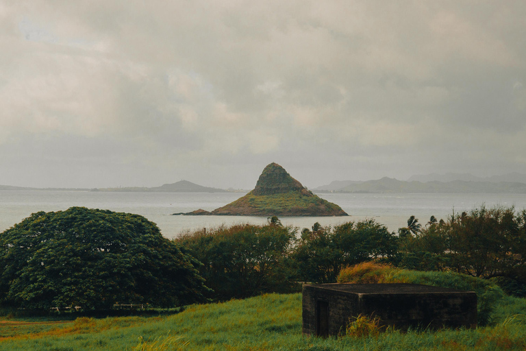 Oahu: Kualoa Open Air Jungle Expedition Tour Kualoa Open Air Jungle Expedition Tour with Meeting Point
