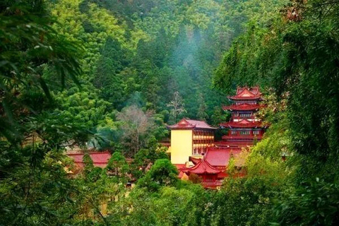Shanghai: Tianmu Mountain Ancient Forest Private Day Trip
