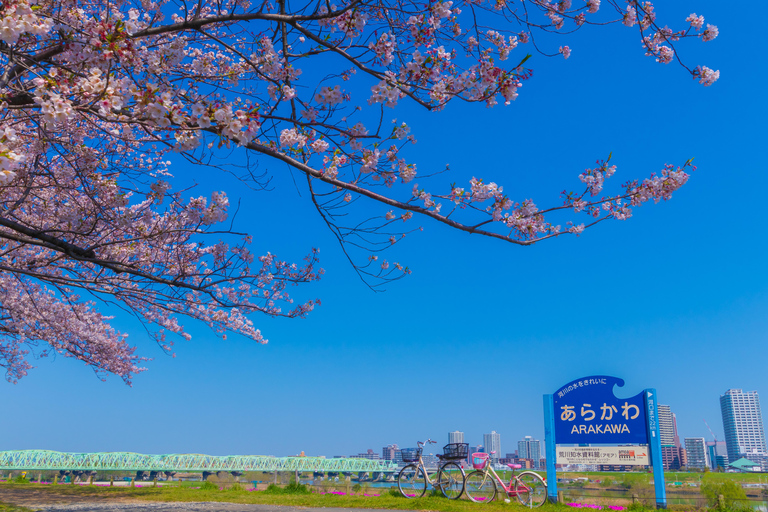 Tokyo: Cherry Blossom E-Bike Tour with Guide