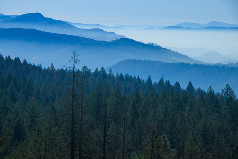 Napa Valley: Driver & Guide Service California wine country