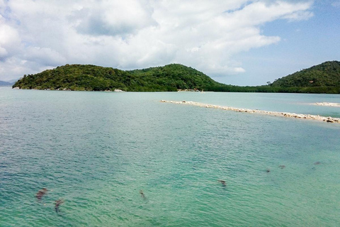 Koh Samui: Excursión en catamarán a motor con delfines y 3 islas