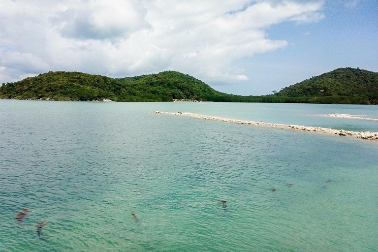 Koh Samui: Excursión en catamarán a motor con delfines y 3 islas