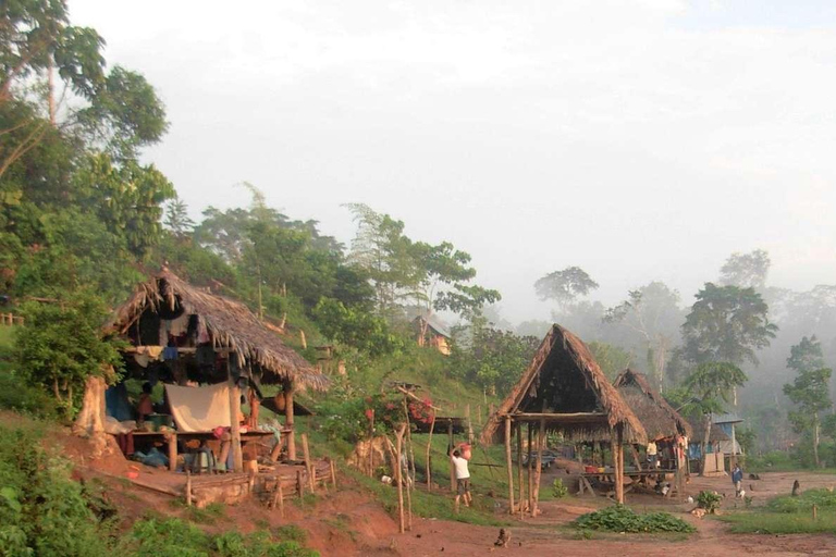 Tour to the indigenous communities of the Amazon in Iquitos