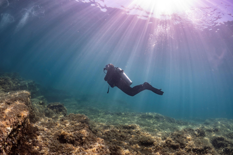 Budva: Scuba Double Dive Boat Trip for Certified Divers