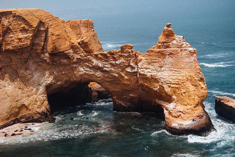 Full day in the Ballestas Islands and the Paracas