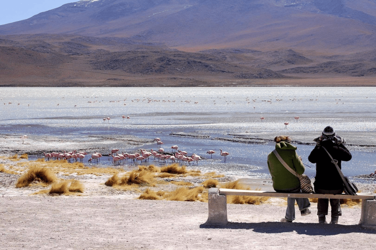 2-Days private roundtrip from Chile to Uyuni Salt Flats