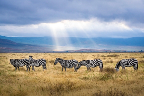 Serengeti &Ngorongoro: 5 Day safari Serengeti and NgoroNgoro SereNgoro: 5 Day safari in Serengeti and Ngoro Ngoro
