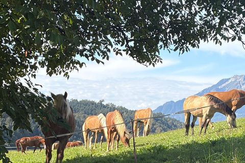 Lucerne: Private Horseback Riding & Swiss Aperitif