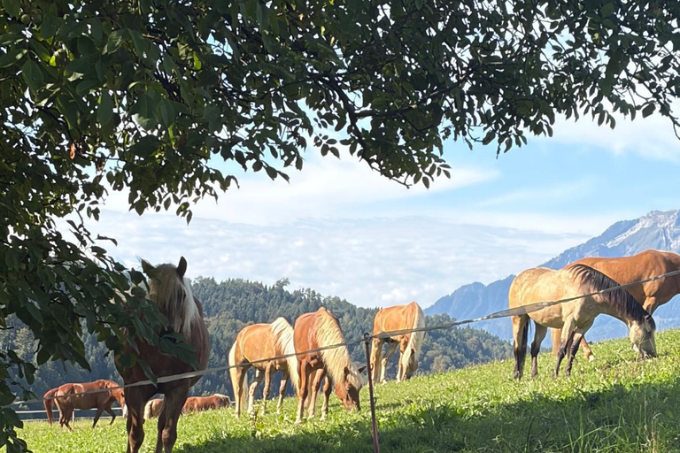 Lucerne: Private Horseback Riding & Swiss Aperitif