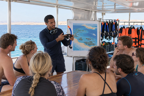Marsa Alam: Sataya Dolphin House Snorkeling Trip with Lunch