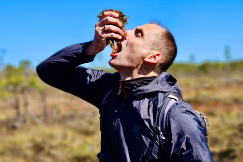 Ķemeri Bogs Adventure: Explore Wetlands In Bog Shoes