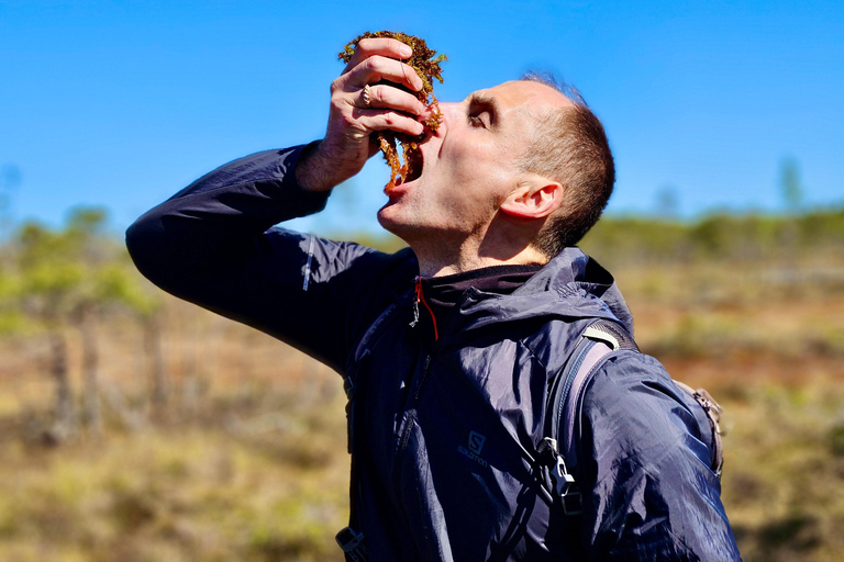 Ķemeri Bogs Adventure: Explore Wetlands In Bog Shoes