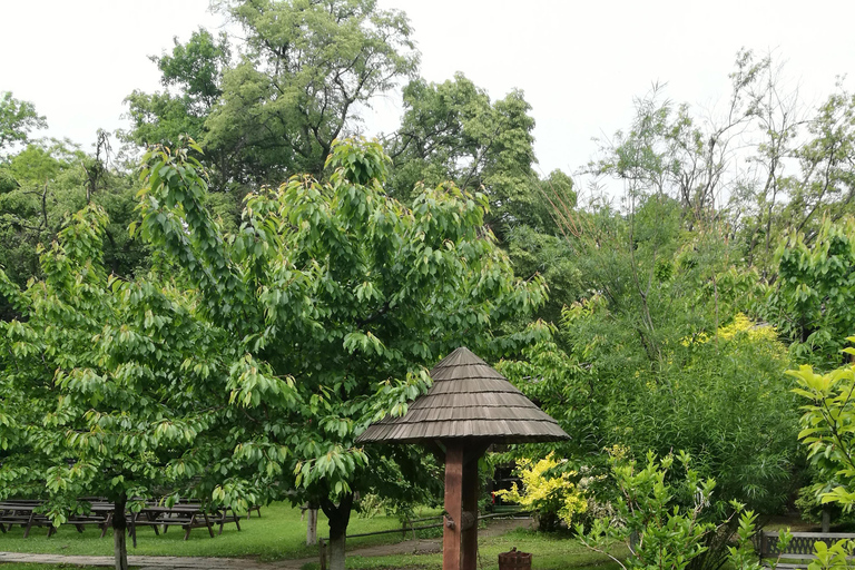 Bucharest City tour, panoramic tour, photo stops and visits