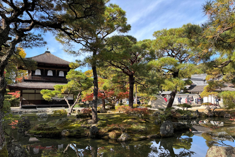 Kyoto: Higashiyama Premium E-Bike Tour with guide