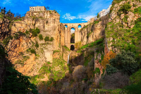 Excursion privée d&#039;une journée à Ronda depuis SévilleGibraltar : Visite privée avec la grotte de Saint-Michel et les singes