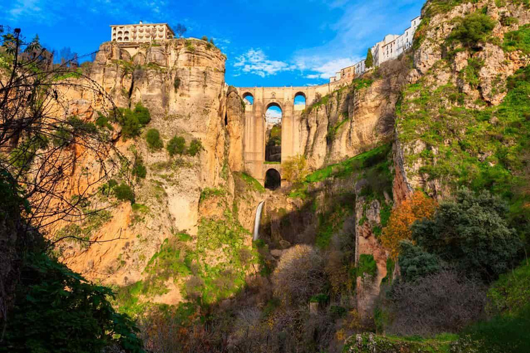 Excursion privée d&#039;une journée à Ronda depuis SévilleGibraltar : Visite privée avec la grotte de Saint-Michel et les singes