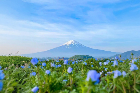 Tokyo : Excursion d&#039;une journée au Mont Fuji et au lac Kawaguchiko digne d&#039;Instagram