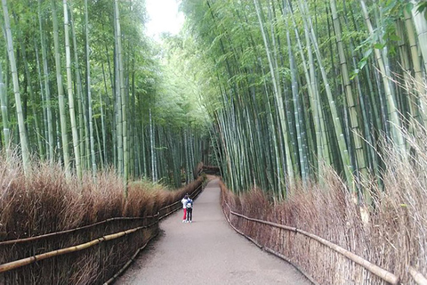 Kyoto: Excursão a pé particular de 1 dia para quem acorda cedo