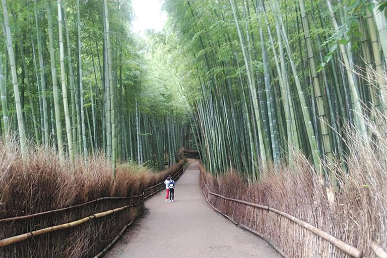 Kyoto : Visite privée d&#039;une journée à pied pour les lève-tôt (Platinum)