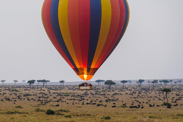 3-dniowe safari Masai Mara z balonem na gorące powietrze $ szampanMasai Mara; Safari balonem na ogrzane powietrze i śniadanie z szampanem