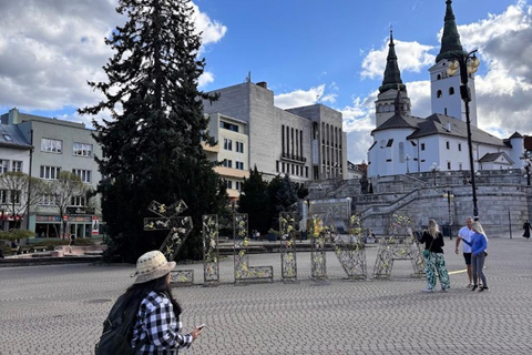 Bratislava: Zilina, Terchova & Vratna Valley Day Trip Tour without hotel pick up & drop off