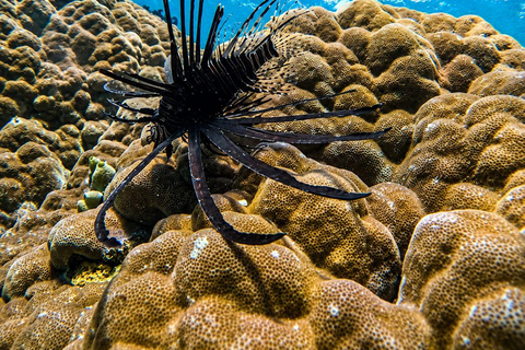 From Lombok: Gili Nanggu, Sudak, and Kedis Island Tour