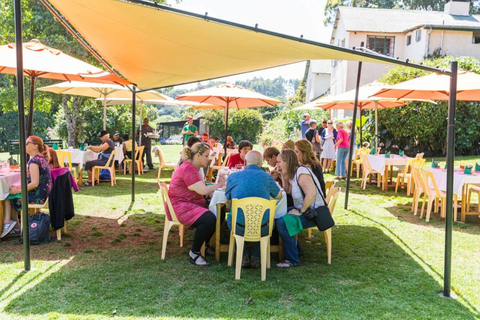 Granja de té desde Nairobi (Kiambethu)