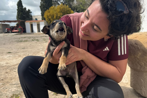 Tunis: Uthina, Zaghouan, and Zriba El Alia Day Trip