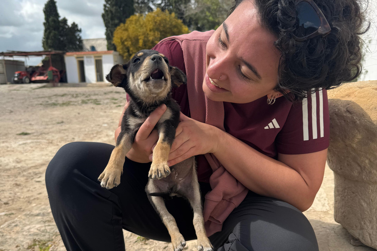 Tunis: Uthina, Zaghouan, and Zriba El Alia Day Trip