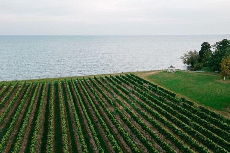 Niagara-on-the-lake: Wine, Beer, Cider, and Spirits Tour