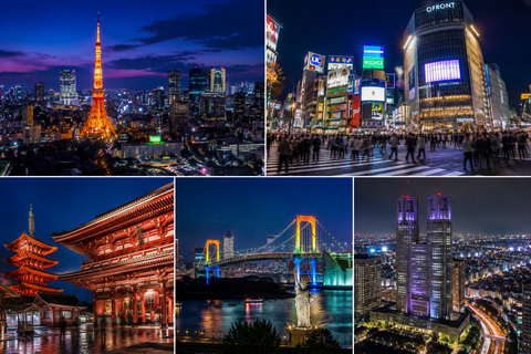 Tokyo Private Sightseeing Tour Top Attractions in One Day