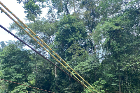 Santa Marta: 2-Day Jungle Adventure, Rappelling and Camping