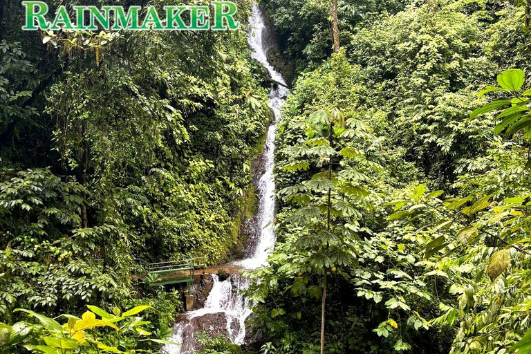 Puntarenas: Rainmaker Park Guided Tour with Lunch