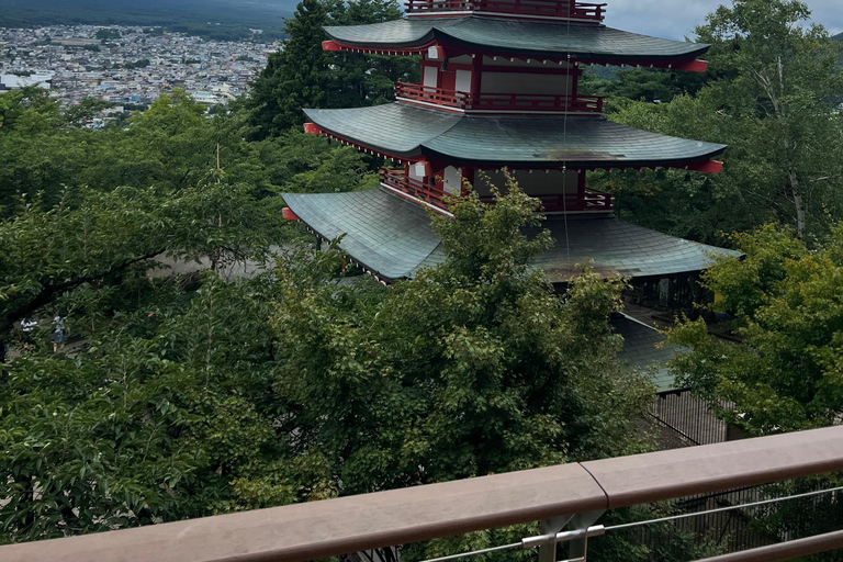 Depuis Tokyo : Excursion privée d&#039;une journée au Mont Fuji et à Hakone