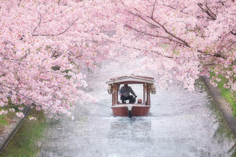 Tokyo: Mt. Fuji & Gotemba Premium Outlets Private Day Tour