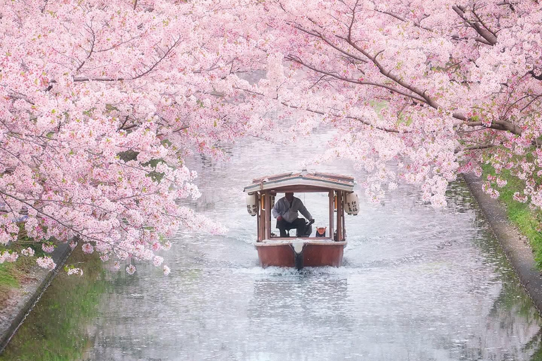 Tokyo: Mt. Fuji & Gotemba Premium Outlets Private Day Tour