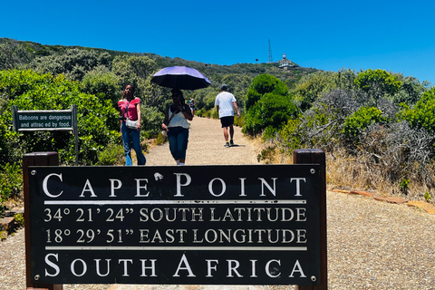 Robben Island, Penguins & Cape of Good Hope Adventure