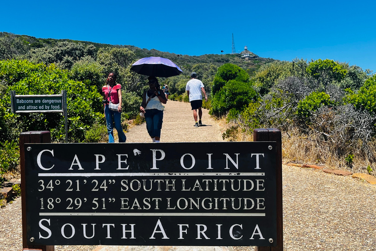 Robben Island, Penguins & Cape of Good Hope Adventure
