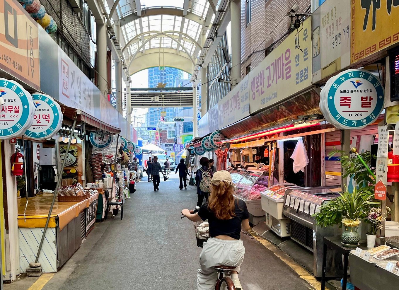Seoul: Cykeltur i den urbane natur langs Han-floden